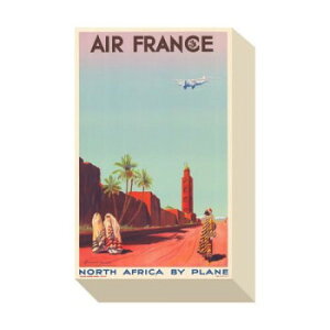 �~�j�p�l�� Air France �A�[�g�p�l�� ZAP-53678