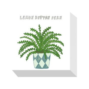 Home Plants LEMON BUTTON FERN �A�[�g�p�l�� ZPA-53534