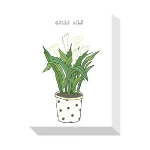 Home Plants CALLA LILY �A�[�g�p�l�� ZPA-53553