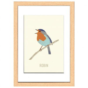 North Birds Robin �A�[�g�p�l�� ZNB-53435