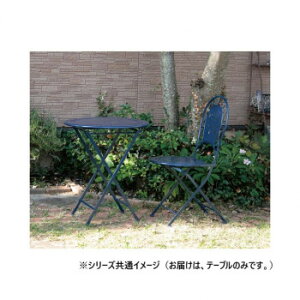 �哯�N���t�g �K�[�f���C���e���A �e�[�u��/�l�C�r�[ ABWT17-01NB