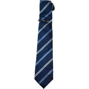 SWANK(XN) ^Co[lN^CZbg01(NM) NT01