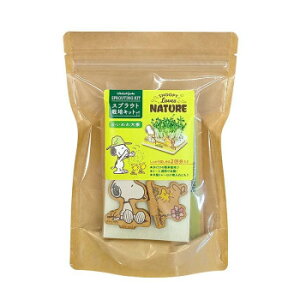 Xk[s[ XvEg͔|Lbg(uYlC`[) SNO1350LN