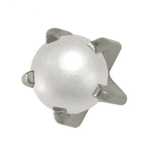 JPS ZCteBsAbT[ p Vo[J[(×pXeX) p[F 7M1301WC