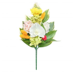 p@lGԁ@vU[uht[@r(cL)@EZE@S@C37501S