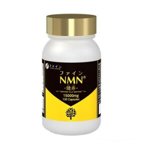 �t�@�C��NMN 120��