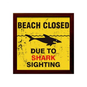 TCt[ Shark Sighting ZSF-52033