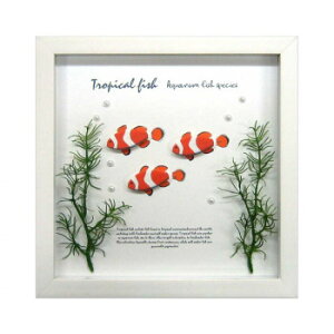 A[gt[ Crow Fish ZAF-50791