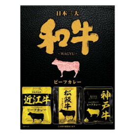 澤井牧場 伊藤牧場 善太 日本三大和牛ビーフカレー (160g×3食)×20個
