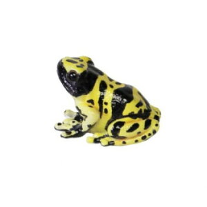 REPTILES MAG レプティルス マグ YELLOWBANDED POISON DART FROG 2365