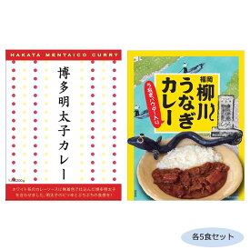 ご当地カレー 福岡博多明太子カレー＆柳川うなぎカレー(うなぎパウダー入り) 各5食セット