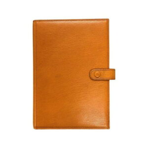 ASHFORD �A�V���t�H�[�h �w���e�C�W BIBLE 25mm �X�^���_�[�h ���X�^ 7272-033