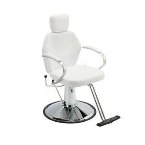 �T�������� �}���`�V�����v�[�`�F�A CB-846 �z���C�g 58461
