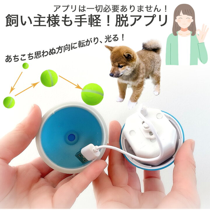 楽天市場 Difang公式 犬 おもちゃ ランダムな動き 光るボール 猫 おもちゃ 犬のおもちゃ 猫 おもちゃ 電動 犬のおもちゃ ボール 猫 おもちゃ 一人遊び 犬 知育玩具 猫 おもちゃ 自動 犬用おもちゃ 猫 おもちゃ 留守番 即納 光るボール Difang