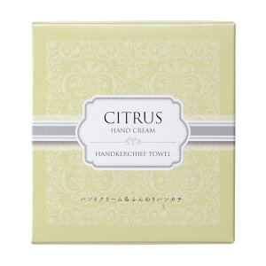 y󂠂zےC nhN[ӂnJ`@1@CG[@4526858050975piG [ | nhN[F98×38×24mm@nJ`F200×200mm i 퐶 qI JԂg