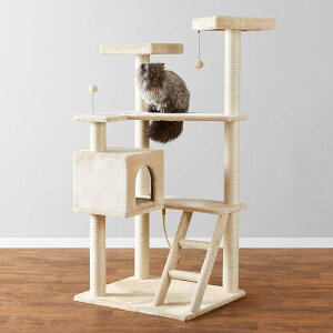 y󂠂zLbg^[  u ؐ VRTCUgp ȃXy[X (70 x 60 x 149 cm) B0DDQFYB38