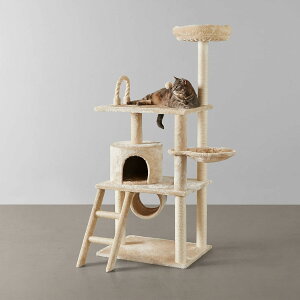 y󂠂zLbg^[  u ؐ VRTCUgp ȃXy[X (65 x 49 x 153 cm)B0DDQFYDLY