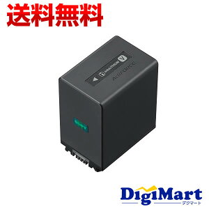 yz\j[ SONYi `[Wuobe[pbN NP-FV100A yViECOpbP[Wz(NPFV100A)