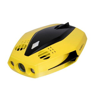 �����h���[�� �`�F�C�V���O �h���[ CHASING DORY�@�h���[�� ���W�R�� ������ �J�����t ���{���K�i