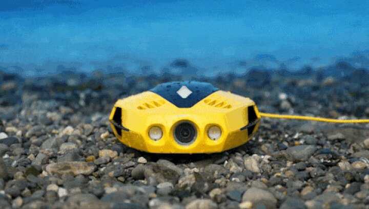 楽天市場】水中ドローン チェイシング ドリー CHASING DORY ドローン 