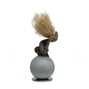 MOTON g IuWF _ u CeA ^  KELEN OBJECT KON No.141