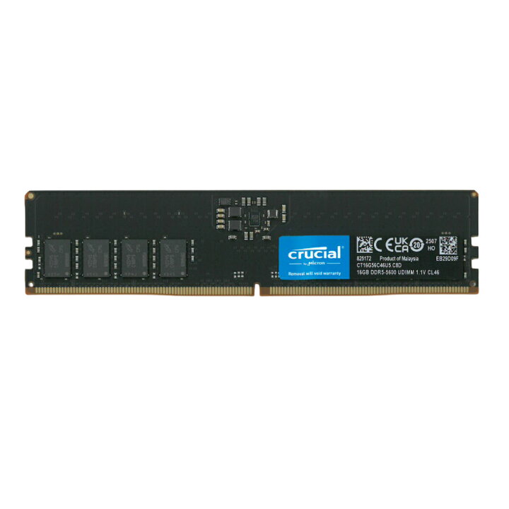 楽天市場】16gb ddr5 5600 デスクチップ メモリ crucial PC5 44800 