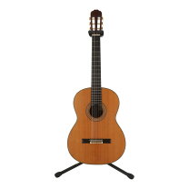 楽天市場】クラシックギター TAKAMINEの通販