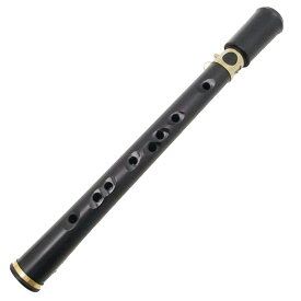中古 ポケットサックスXaphoon ザフーンPocket SAX -コンディションランク【A】（商品 No.69-0）