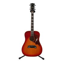 楽天市場】Gibson dove（アコースティックギター｜ギター）：ギター 