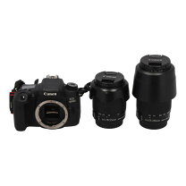 楽天市場】一眼 レフ canon eos 8000dダブルズームキットの通販