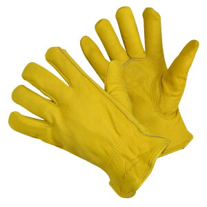 LvO[u Ǝ V[g ϔM v ݊v [ LTCY ] AEghA o[xL[ [NO[u U[O[u v ~^[O[u Rp [J[O[u 