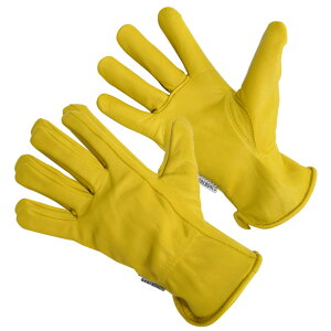Barebones K[fO[u Ǝ NVbN[NO[u v [ i` / XSTCY ] xA{[Y Classic Work Glove  K[fjOO[u Lv BBQ U[O[u v