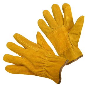 LvO[u Ǝ V[g ϔM v nڎ Ɨp [NO[u U[O[u v ~^[O[u Rp [J[O[u ƗpO[u ی 