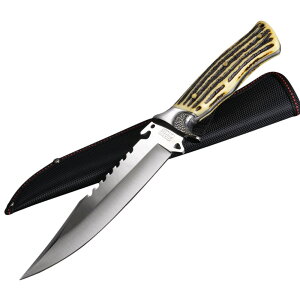 {ECiCt |AZ^[ pfUC \[obN ^iCt ToCoiCt iCt RobgiCt ubVNtgiCt neBOiCt {[CiCt u[CiC