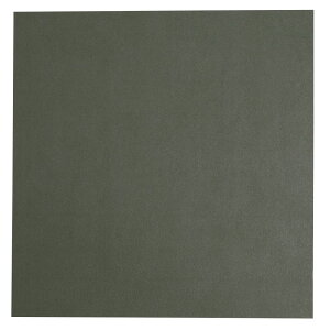 JCfbNX 1.5mm KAYDEX 30×30cm [ ODO[ ] JCfbNXV[g iCtV[X zX^[ Hޗ DIY vX`bN vX`bN  nhNtg  ~^[