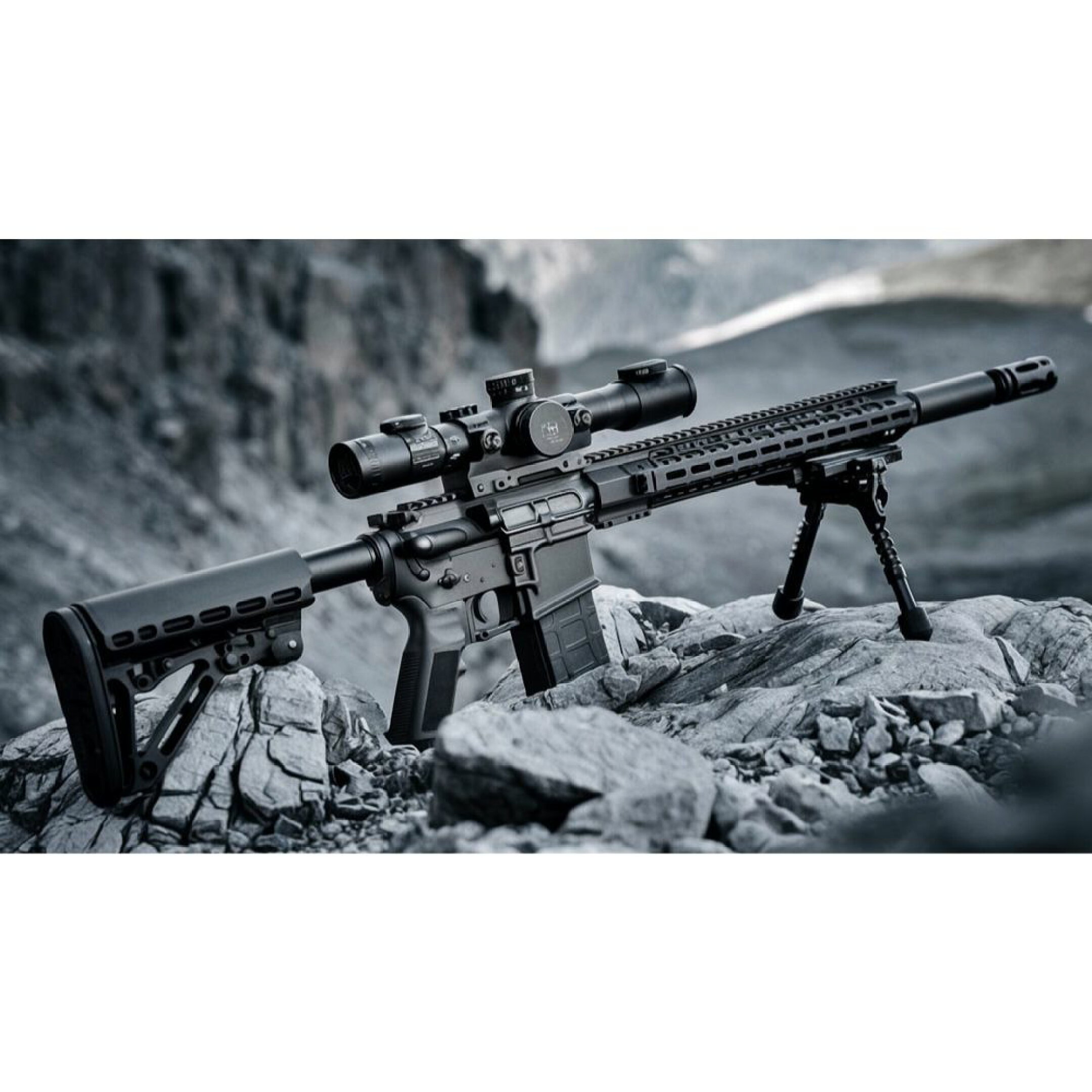 指定射手銃（DMR）