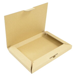 䂤pPbgΉ ^gE _{[ A4TCY [ 20Zbg ] i{[ i{[ _{[ g ܂ݎ z NbN|XgΉ p p ^ Ƃ bR^ 