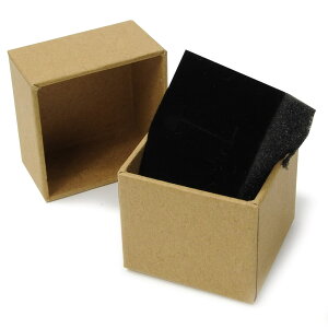 Mtg{bNX \蔠 5×5×4cm ANZT[P[X [ uE / 50Zbg ] v[g{bNX WG[BOX  X|Wt bsO pbP[W n [  pi 