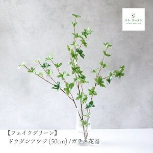 hE_ccW } tFCNO[ CeAO[ k  ϗtA KXx[X  rO 50cm } }WJEH[^[ CeA   ڂȂ ƃL