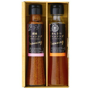 yMtgÊzIN ܂ʂhbVOMtg DS-2Y(B5)