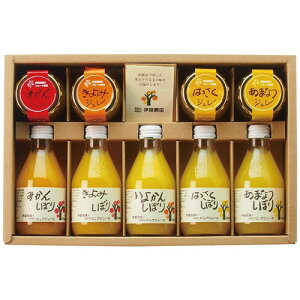 yEÊzɓ_ 100%sAW[X&WZbg V-113(B4)