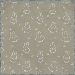 yEÊz~btB[}CNt@Co[ӂ ΂ 38102MF3P(B5)