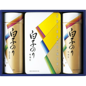 yΕEzq̂ CہEЂl SA-300 Ε