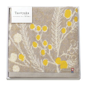 yMtgÊzTaoyaka i~UjoX^I TAO-26Y(A3)