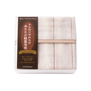 yEÊznishikawa {yʖѕz FQ83210027(A3)