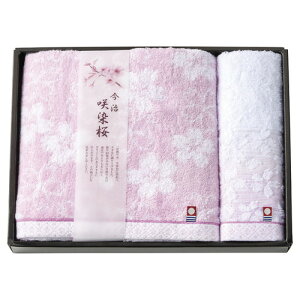 �y�M�t�g��E�̂��������z����� �����^�I���Z�b�g SZ-3001(B4)