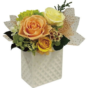 �y���������E������E�̂������z�u�����A���g(�v���U�[�u�h�t�����[) �I�����W bc-13572-OR(B5)