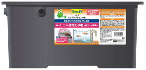 eg 傤ŃLC_J 40 F琬O[