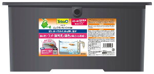 �e�g�� ���傤��ŃL���C���_�J�� 40×40 �F���琬�O���[