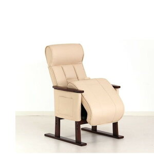 O[[v オ⏕`FA@Care-409-SAC